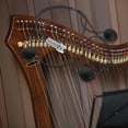 thumbnail image 1 of LOLIPPYY Miniature Harp Rubber Black String Vibration Capture For Teaching 1Pack, 1 of 8