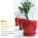 thumbnail image 3 of 4 unidades de dispositivo de riego automático con forma de búho para flores y bulbos de riego de plantas., 3 of 6