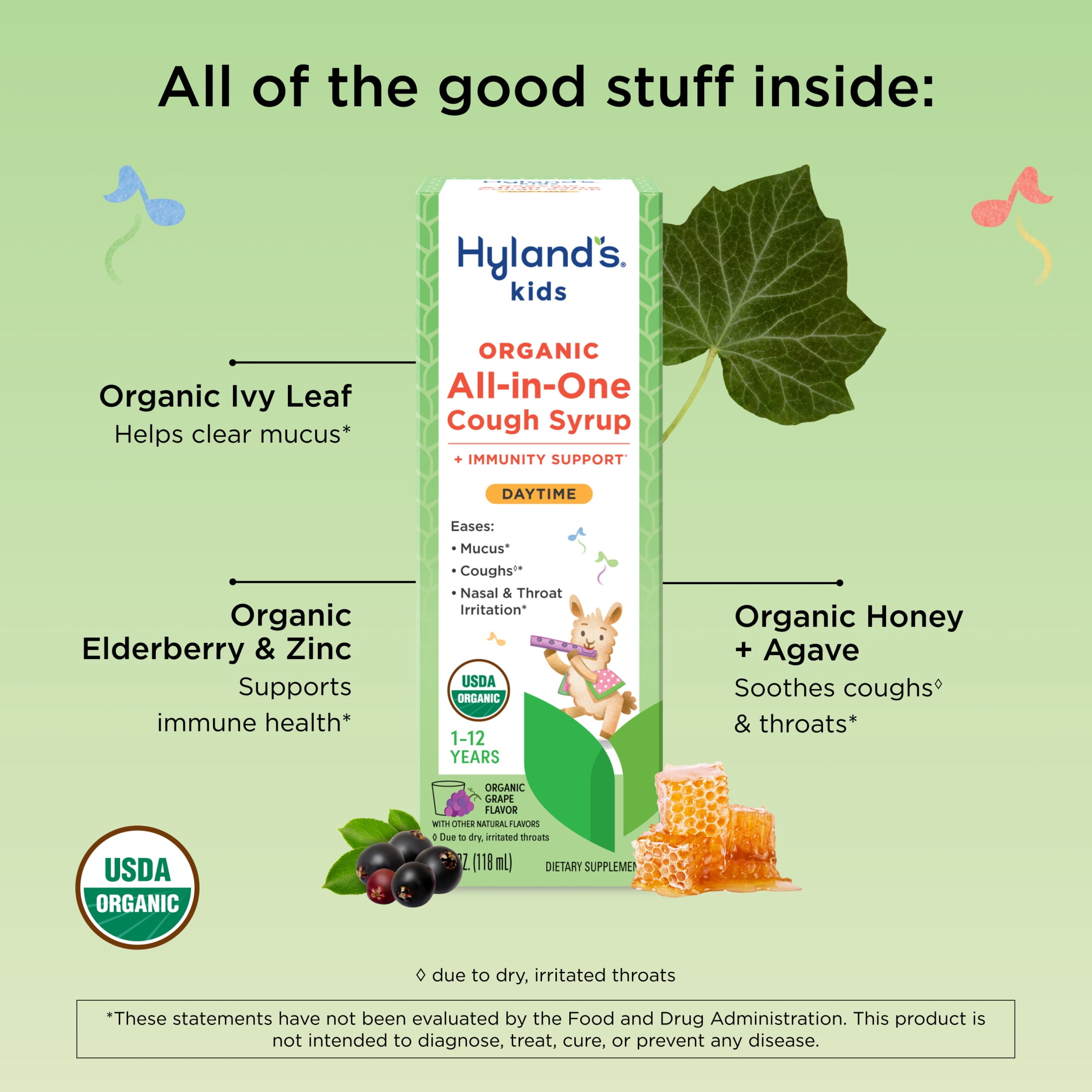 Hyland's Kids, Organic All-in-One Cough Syrup, Ages 1-12, Daytime, 4 fl oz