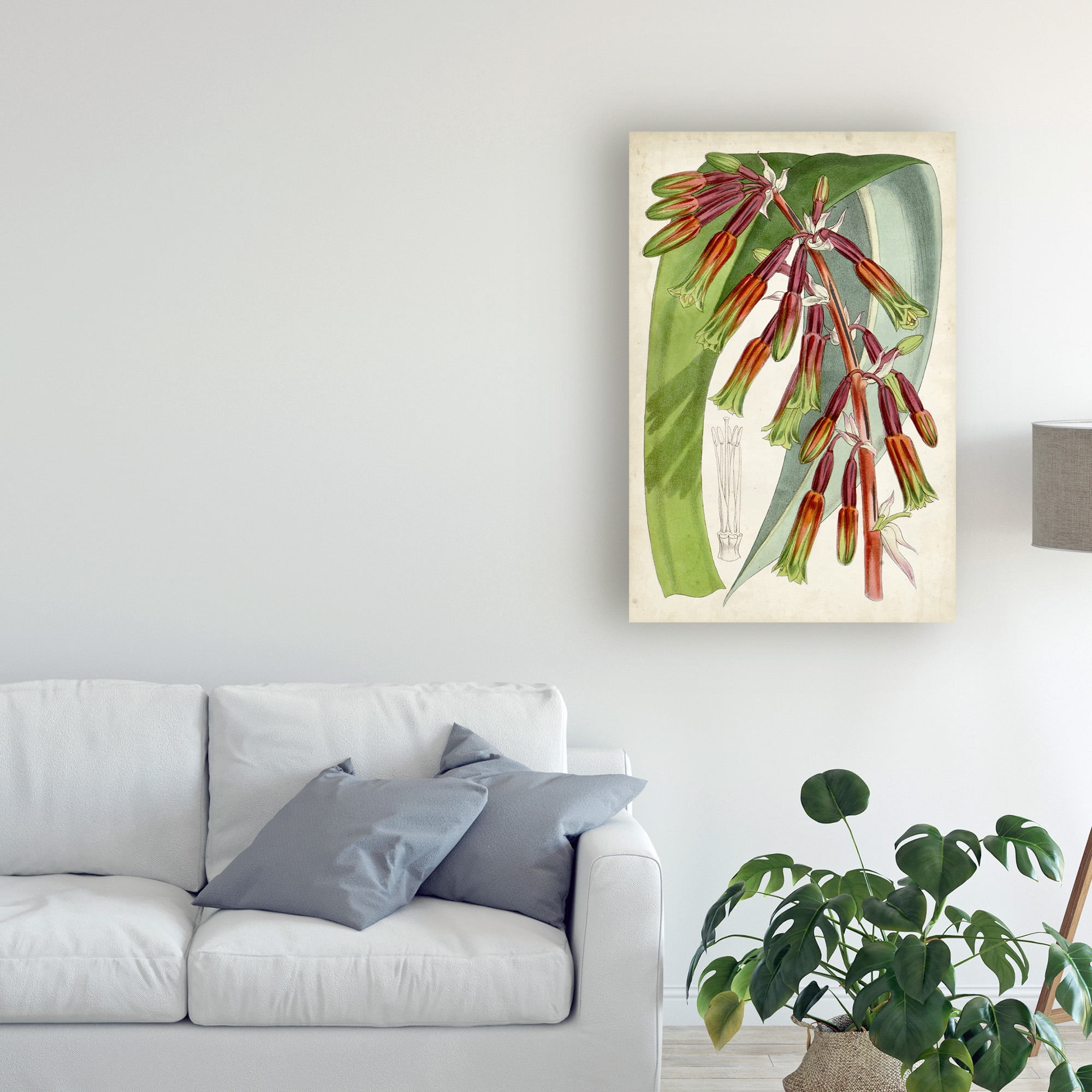 Trademark Fine Art 'Tropical Gems I' Canvas Art by Curtis