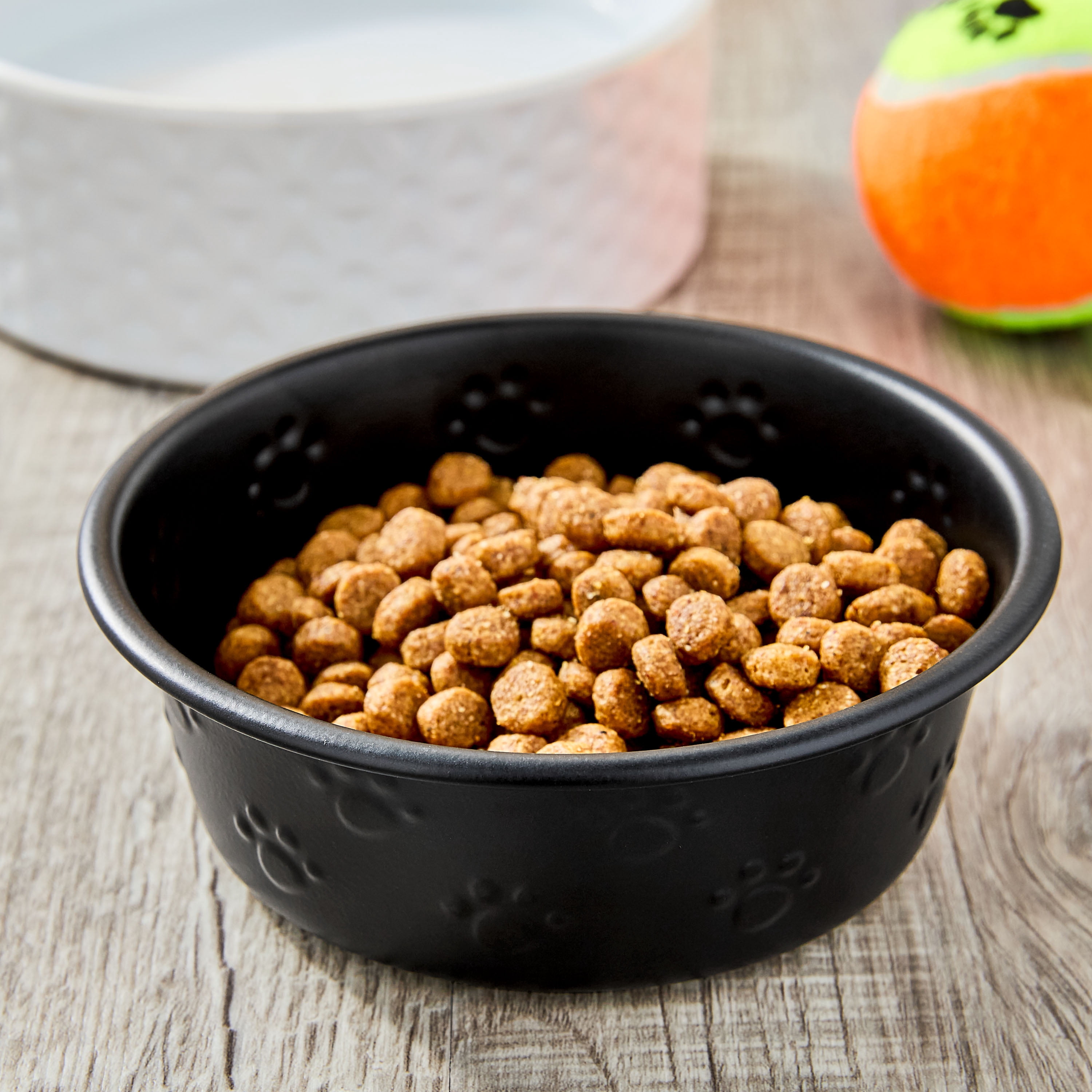 Vibrant Life Small Stainless Steel Embossed Dog Bowl, Black Paws