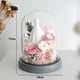 thumbnail image 2 of Decoración de flores eternas, rosa, flor seca, vestido de novia, cubierta de vidrio con luz, regalo de cumpleaños, regalo de vacaciones para familiares y amigos, 2 of 5