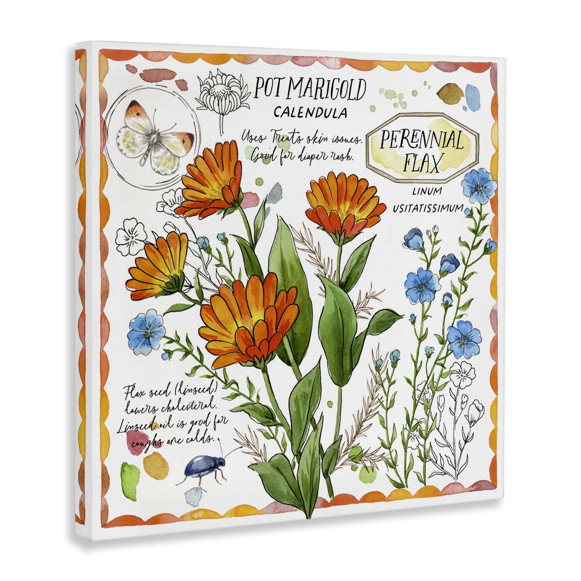 Stupell Industries Country Herb Uses Plants & Flowers Painting Wrapped Canvas Art Print Wall Art, 30 x 30
