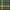Emerson 5, variant on Emerson 5 Blue & Green Plaid Homespun Cotton Fabric Sold by the Yard