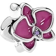 thumbnail image 2 of FLOR ORCHID, 2 of 2