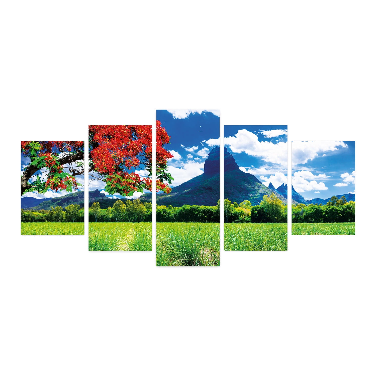 Landscape 5 Panels Acrylic Glass Wall Art, Mountains of Mauritius