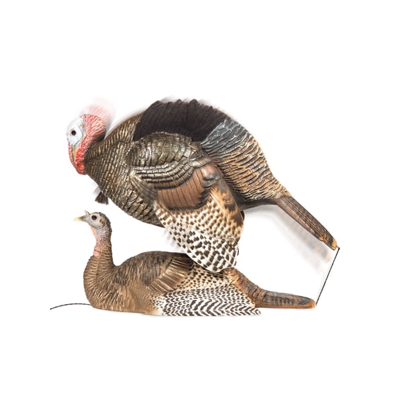 Dave Smith Decoys DSD Mating Motion Pair Turkey Decoys