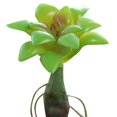 thumbnail image 1 of Coofit Mini Artificial Succulent DIY - Faux Succulent Plant Plastic Greenery Decoration, 1 of 3