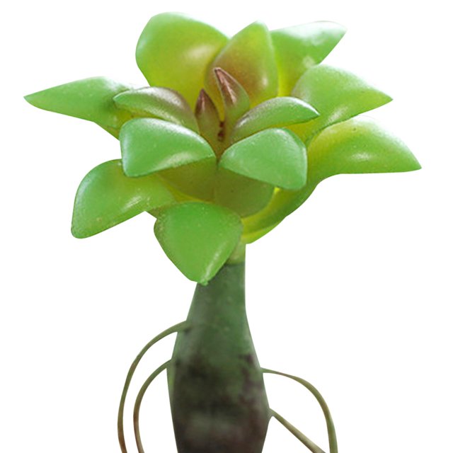 Coofit Mini Artificial Succulent DIY - Faux Succulent Plant Plastic Greenery Decoration