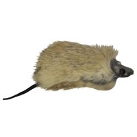 The Mouse
