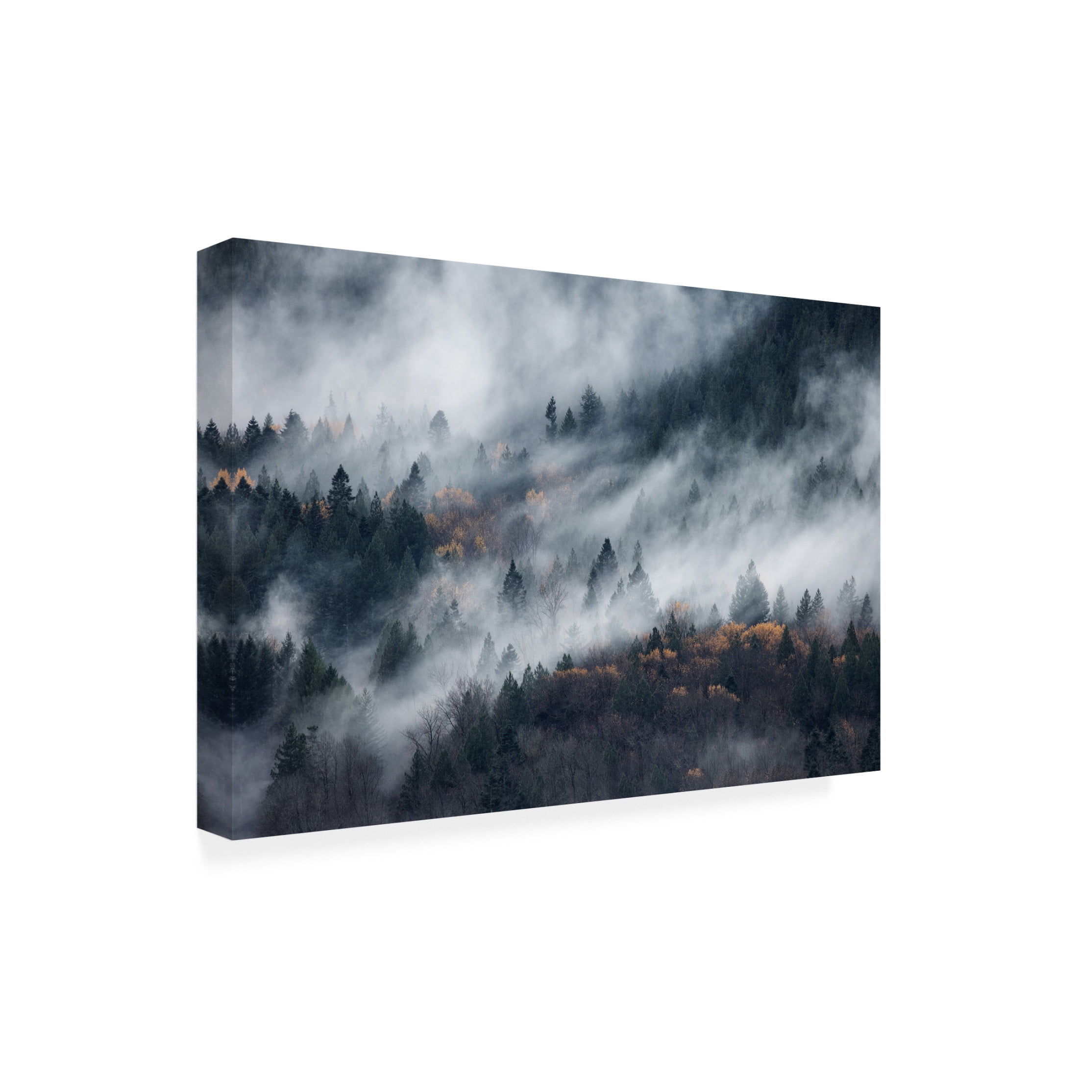 Trademark Fine Art Tomomi Yamada A Path Of The Fog Canvas Wall Art