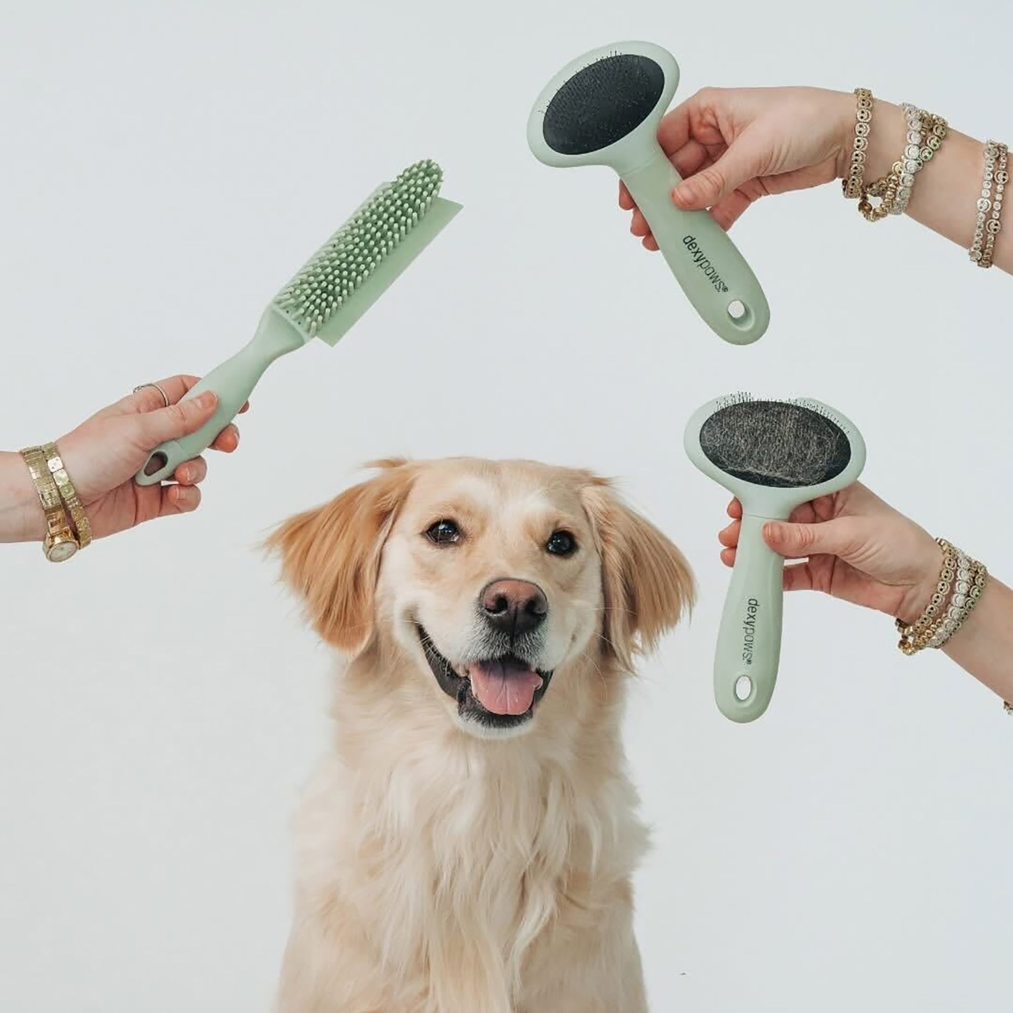 Dexypaws: Pet Slicker Brush - Large - Sage Green, Dog & Cat Grooming Tool, Stainless Steel Teeth, Remove Fur-Tangles-Dirt, Coat Maintenance, 7.7x4.9"