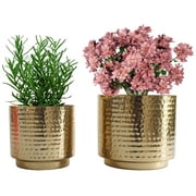 Set of 2 Different Size Hammered Gold Color Metal Tabletop Indoor Pots - Includes 1/2 Gallon and 2/5 Gallon Pot for Small Plants