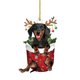 thumbnail image 2 of Trineo Cachorro Navidad Dibujos Animados Dachshund Ornamento Acrílico Fiesta Suministros (F), 2 of 9
