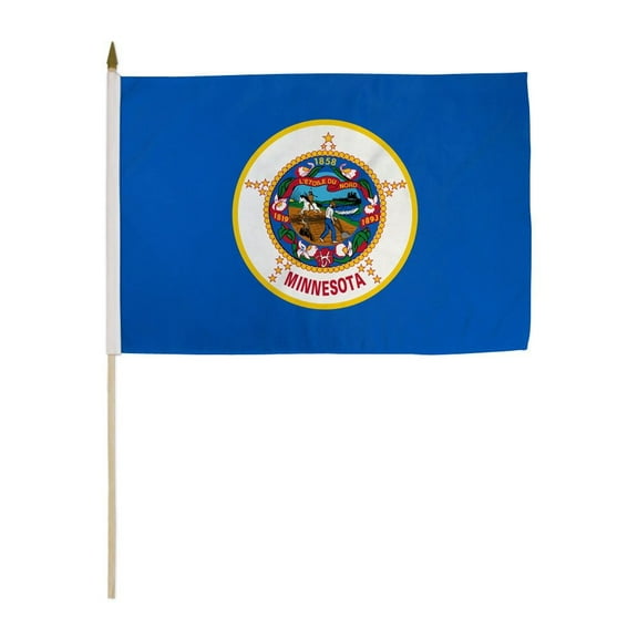 Minnesota (1957) 12x18in Stick Flag