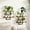 2Pcs 2-Tier Brown, variant on MEHOOM 3-Tier Wooden Floating Wall Shelf, Rustic Wall-Mounted Storage Shelves for Bedroom, Living Room, Farmhouse Wall Decor, 20in
