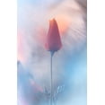 thumbnail image 2 of BRAVIN, Fabien 13x18 White Modern Wood Framed Museum Art Print Titled - Douceur A Voluptac, 2 of 4
