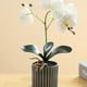 thumbnail image 5 of Inteprter Bonsái de orquídeas artificiales Phalaenopsis en maceta para el hogar, jardín, de planta falsa realista para decoración de bodas al Decoración Blanco Inteprter HA084197-02, 5 of 6