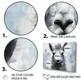 thumbnail image 3 of Designart "Portrait Of The Grey Llama" Animals Llama Wall Decor, 3 of 7