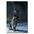 thumbnail image 3 of Starry Night Canvas Inspired Norwegian Elkhound Dog Pet Family Friend Peace Oil Painting Art Print Poster Wall Decor, 3 of 6