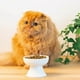 thumbnail image 4 of Ceramic Raised Cat Bowls Porcelain Stress Free Pet Feeder Dish for Cat Small Dog, 4 of 5