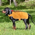 thumbnail image 4 of unbranded 1Pc Folding Orange Pet Clothes Decorative Cosplay Garment for Dogs Cats, 4 of 7