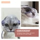 thumbnail image 3 of GOOHOCHY Hocico de gatito doméstico preparación profesional de aseo, 3 of 8