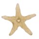 thumbnail image 5 of 10pcs Acuario Pecera Roca Guijarro Piedra Colina Artesanía Acuática, 5 of 9
