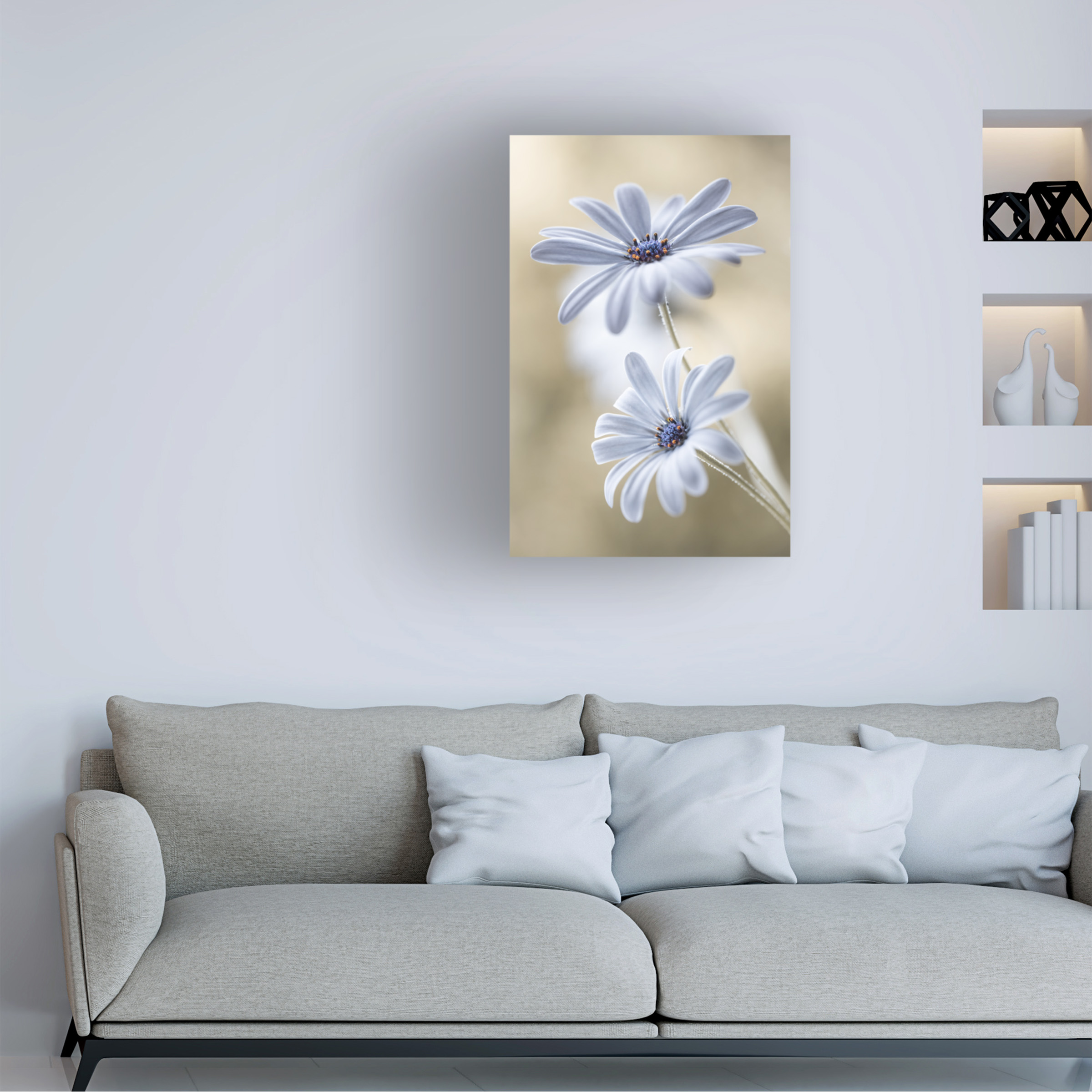 Mandy Disher 'Cape Daisies' Canvas Art