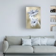 thumbnail image 2 of Mandy Disher 'Cape Daisies' Canvas Art, 2 of 4
