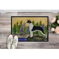 thumbnail image 2 of Carolines Treasures SS8201JMAT Basenji Paillasson Intérieur Ou Extérieur - 24 x 36 Po., 2 of 4