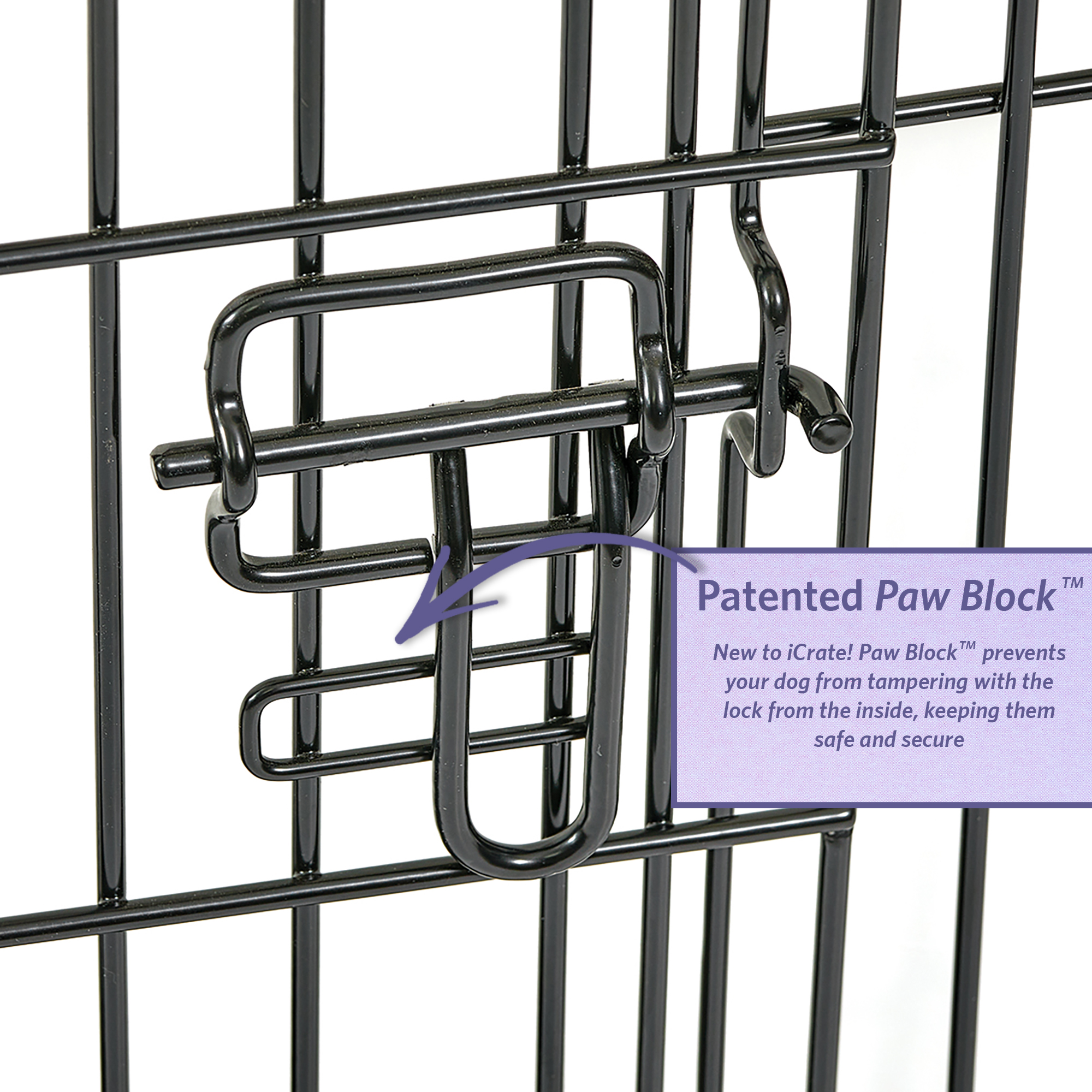 MidWest iCrate 48" Dog Crate, Single Door photo 6