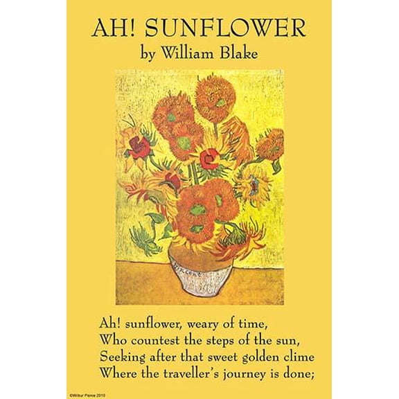 Ah! Sunflower-Fine Art Canvas Print (20" x 30")