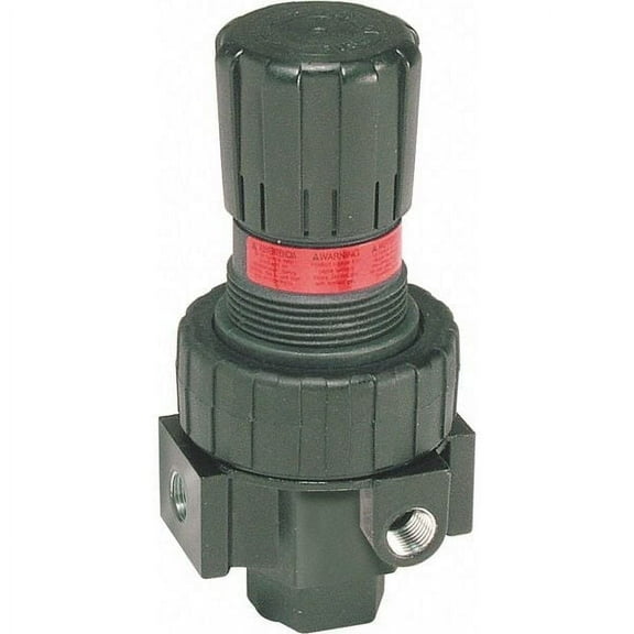 Parker Air Pressure Regulator,Pipe Size 1/2" 06R313AC