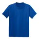 thumbnail image 1 of Hanes® - Camiseta EcoSmart® 50/50 algodón/poliéster para jóvenes. 5370 hanes 5370, 1 of 1