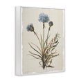 thumbnail image 2 of Stupell Industries Shabby Chic Natural Hydrangea Buds White Framed Giclee Art, 16 x 20, by Carol Robinson, 2 of 7