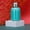 Blue, variant on Glass & Bottle Mini Water Bottle 300ml Stainless Steel Thermal Cup Vacuum Insulated Leak Proof Portable Flask with Hook for Home Gym