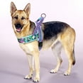 thumbnail image 3 of Beirui No Pull Plush Padded Dog Harness Reflective Front Leading Pet Walking Vest XS-L, 3 of 10