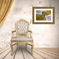 thumbnail image 3 of Shimlock, Jones 18x13 Gold Ornate Wood Framed with Double Matting Museum Art Print Titled - Indonesia, Lembeh Strait Bumble-bee shrimp, 3 of 4