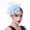 Light Blue, variant on Elegant Black Fascinator Hat for Women, Vintage Mesh Yarn Headpiece with Hair Clip and Headband, Classic Palace Style Evening Tea Party Hair Accessory