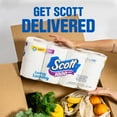 thumbnail image 2 of Scott Trusted Clean Toilet Paper, 32 Regular Rolls, Septic-Safe Toilet Tissue, 1-Ply Rolls, 2 of 9