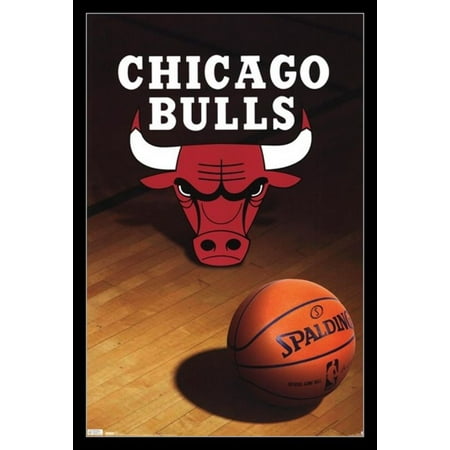 - Chicago Bulls - Logo 2010 Poster Print