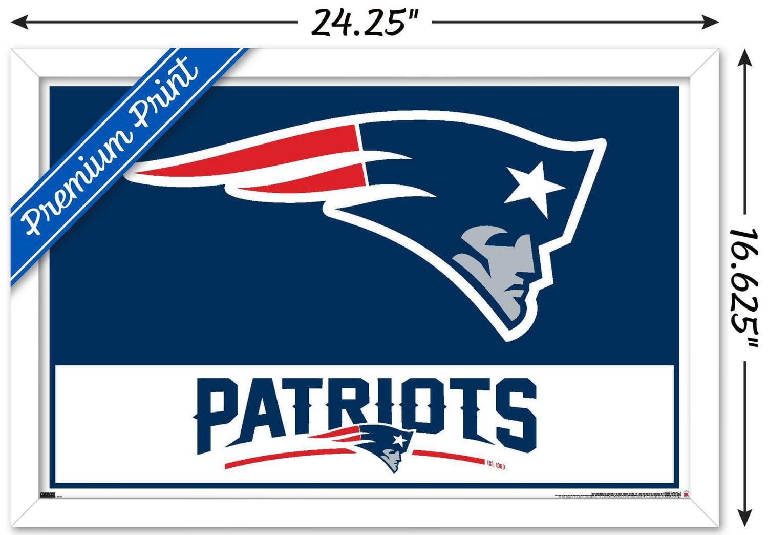 Patriots de la Nouvelle-Angleterre de la NFL