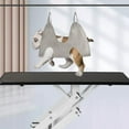 thumbnail image 2 of kusrkot Animal Toilettage Hamac Harnais Trucs Ensemble Multifonctions Séchage Respirant Serviette S, 2 of 8