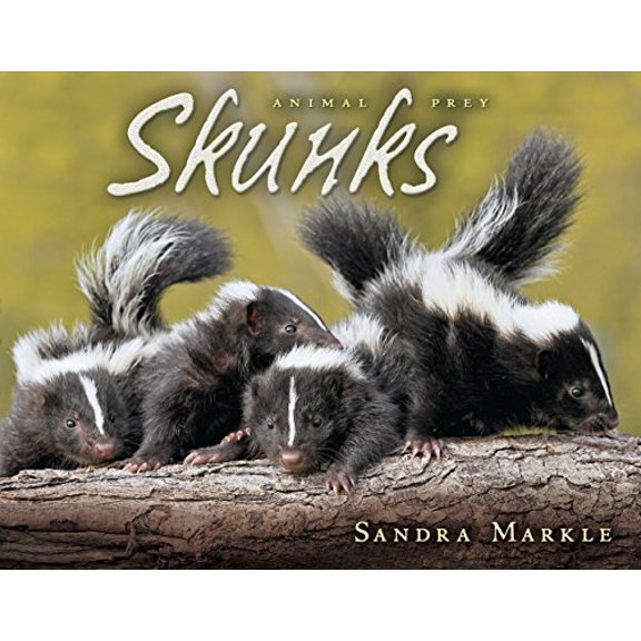 Pre-Owned Skunks (Animal Prey) Paperback
