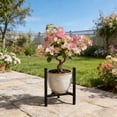 thumbnail image 6 of Multi-Tier Plant Display Rack, 9.1 to 12.6 Inches Flowerpot Holder for Living Room, Garden, or Office, Elegant Home Plant Rack for Indoor and Outdoor Décor, 6 of 6
