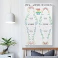 thumbnail image 4 of Small Animal Dentition Poster,Canine Dental,Feline Dental Chart,Vet Art Canvas for Living Room Bedroom Decor, 4 of 4