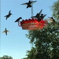 thumbnail image 3 of Hummingbird Feeders for Outdoor ,Hanging Ant Proof Bird,Easy Clean Mounting Plastic Hanging Feeders Red, 3 of 6