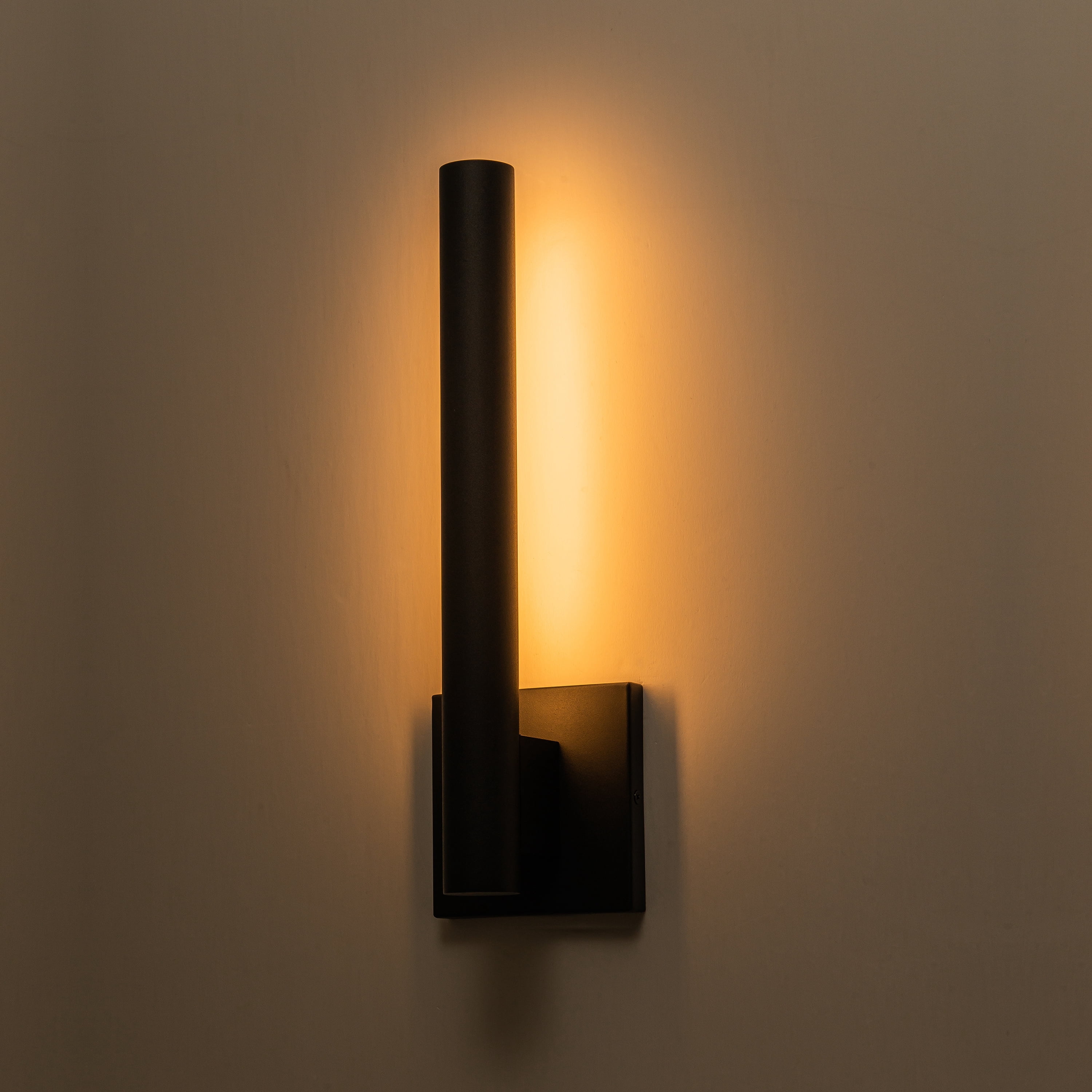 C Cattleya 1-Light Matte Black Dimmable LED Outdoor Wall Light with Frosted Glass Diffuser