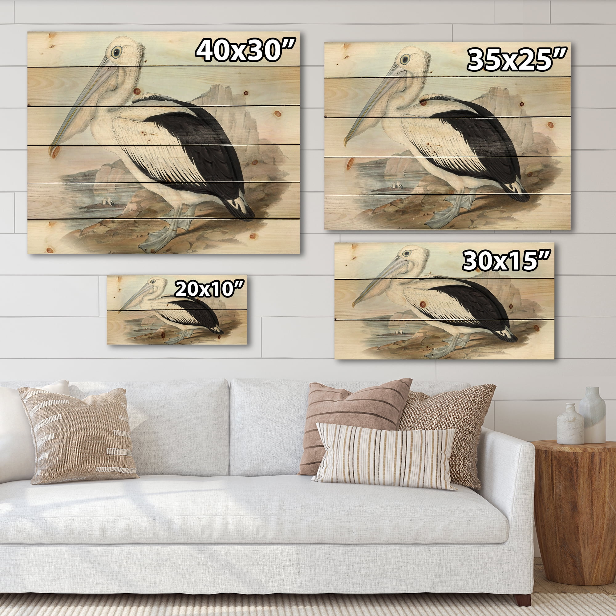 Designart 'Ancient Australian Birds VIII' Traditional Print on Natural Pine Wood